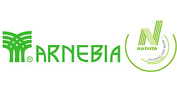 Витамины Арнебия NUTRILO Arnebia